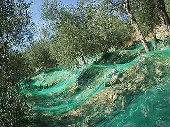 Agriturismo Gli Orti Διαμέρισμα Chiusanico